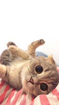 r先生